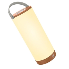 Prijenosna LED svjetiljka TaoTronics DL23