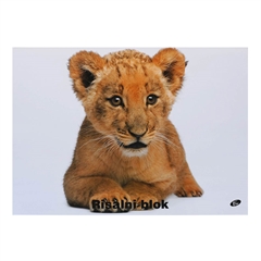 Blok za crtanje A3, 20 listova, 140 g, Baby lav