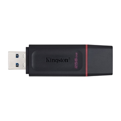 USB stick Kingston DTX Exodia, 256 GB
