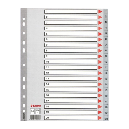 Pregrada kartonska 1-20 A4 PP Esselte, siva