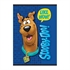 Bilježnica A4 Scooby Doo, bez crtna, 54 lista, sortirano, 1 kom