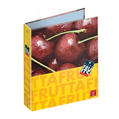 Registrator Pigna Fruits A4, 4R, samostojeći