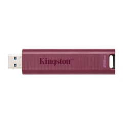 USB stick Kingston DT Max, 256 GB