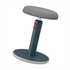 Ergonomska stolica Leitz Sit&Stand Cozy Active, siva