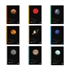 Bilježnica A4 Elisa Planeti, male kockice, 52 listova, sortirano