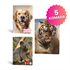 Bilježnica A4 Rucksack Only, Animals Cute, mali karo 5 mm, 52 lista, sortirano, 5 komada