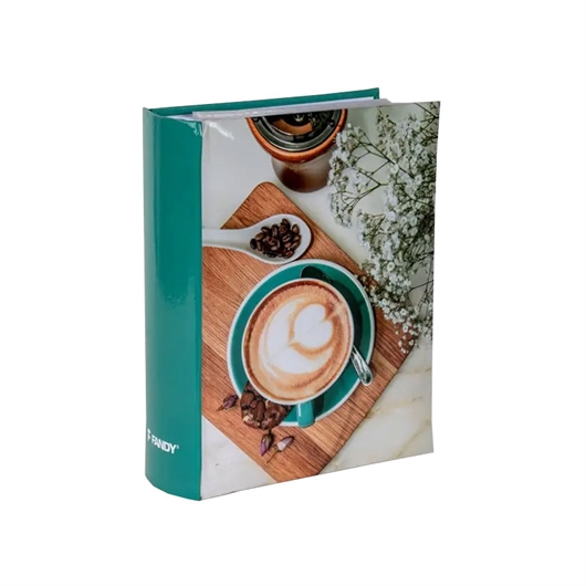 Foto album Steam, 300 slika