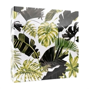 Foto album Monstera 2, 500 slika