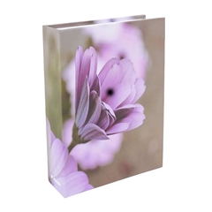 Foto album Floret 2, 200 slika