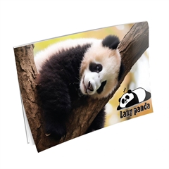 Blok za crtanje A3, 20 listova, Panda