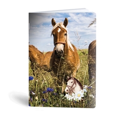 Bilježnica A6 Rucksack Only, Horse, 40 listova
