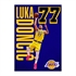 Bilježnic A4, Luka Dončić, mali karo, 54 lista, sortirano