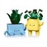 LEGO Botanical Collection: Vesele biljke