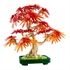 LEGO Botanical Collection: Bonsai japanski crveni javor