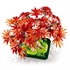 LEGO Botanical Collection: Bonsai japanski crveni javor