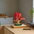 LEGO Botanical Collection: Bonsai japanski crveni javor