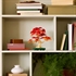 LEGO Botanical Collection: Bonsai japanski crveni javor