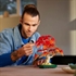 LEGO Botanical Collection: Bonsai japanski crveni javor