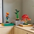 LEGO Botanical Collection: Bonsai japanski crveni javor