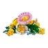LEGO Botanical Collection: Mali sunčani buket