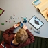 LEGO Minecraft: Susret s nadzornikom