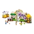 LEGO Friends: Zeleni kafić i cvjećarnica