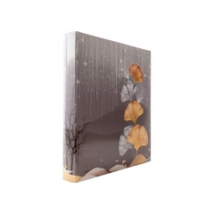 Foto album Ginko 1, 500 slika