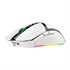 Gaming miš Razer Cobra Pro, bežični, bijeli