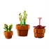 LEGO Botanical Collection: Sitne biljke