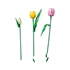 LEGO Botanical Collection: Buket tulipana