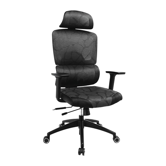 Ergonomska stolica za gaming i ured Sandberg ErgoFusion Pro