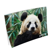 Blok za crtanje A3, 20 listova, panda 2