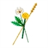 LEGO Botanical Collection: Poljsko cvijeće