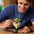 LEGO Star Wars: Yodina bista