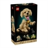 LEGO Icons: Štene zlatnog retrivera