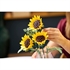 LEGO Botanical Collection: Buket suncokreta