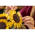 LEGO Botanical Collection: Buket suncokreta