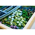 LEGO Art: Claude Monet – Most iznad jezera lopoča