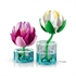 LEGO Botanical Collection: Lopoči