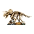 LEGO Jurassic World: Fosili dinosaura: Triceratops