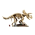 LEGO Jurassic World: Fosili dinosaura: Triceratops