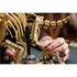 LEGO Jurassic World: Fosili dinosaura: Triceratops