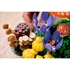 LEGO Botanical Collection: Šumske gljive