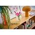 LEGO Botanical Collection: Uresnice